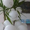 Wody Polskie udostępniły plac budowy zbiornika Racibórz Dolny » Wody Polskie udostępniły plac budowy zbiornika Racibórz Dolny